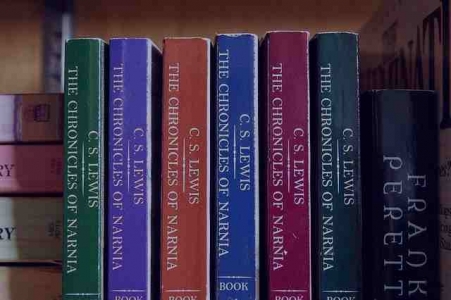 Buy fiction books online