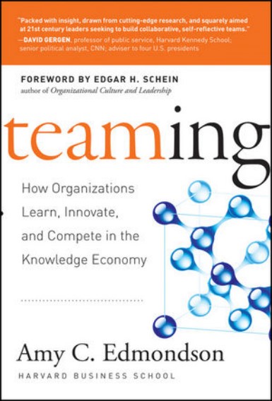 Teaming: How Organizations Learn, Innovate, and Compete in the Knowledge Economy Ebook