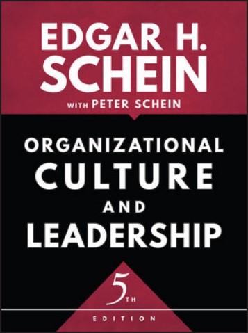 Organizational Culture and Leadership Ebook