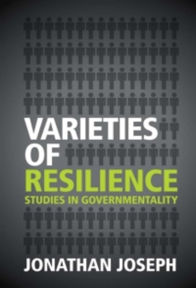 Varieties of Resilience: Studies in Governmentality Ebook