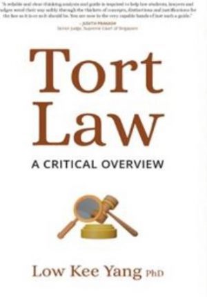 Tort Law: A Critical Overview